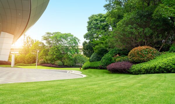 Commercial Shrub Trimming in West Des Moines