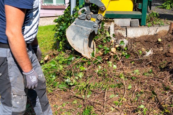 Hedge Removal Service in West Des Moines