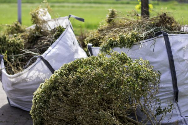 Plant Removal Service in West Des Moines