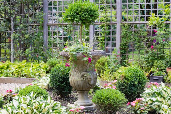 Topiary Pruning in West Des Moines