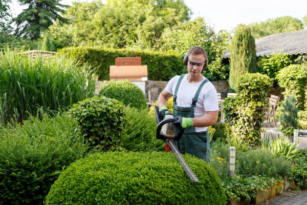 Shrubs Trimming in West Des Moines