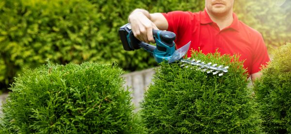 Hedge Shaping Service in West Des Moines