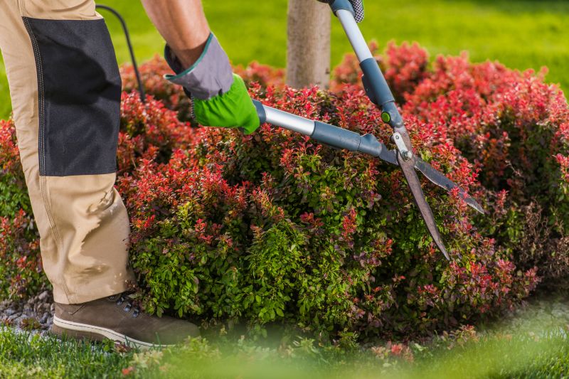 Landscaper Using Shears